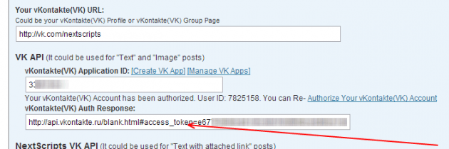 Установщик выдаст длинный URL, скопируйте его из адресной строки и вставьте его в поле “vKontakte(VK) Auth Response”