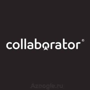 Collaborator(Коллаборатор)
